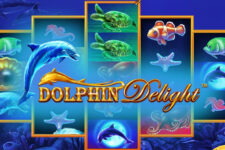Dolphin Delight