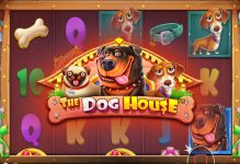 The Dog House